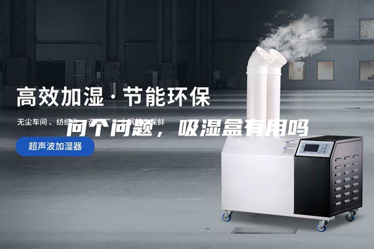问个问题，吸湿盒有用吗