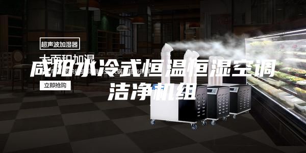 咸阳水冷式恒温恒湿空调洁净机组