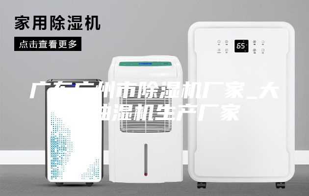 广东广州市除湿机厂家_大型抽湿机生产厂家