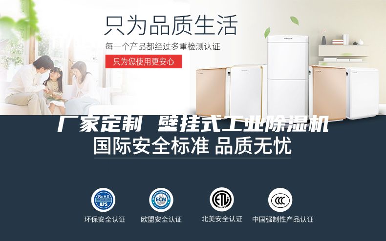厂家定制 壁挂式工业除湿机