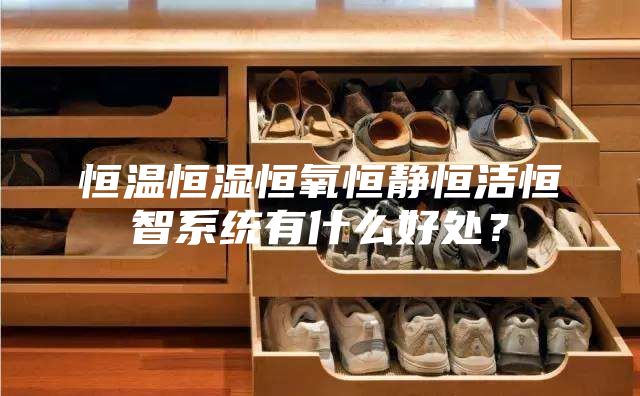 恒温恒湿恒氧恒静恒洁恒智系统有什么好处？