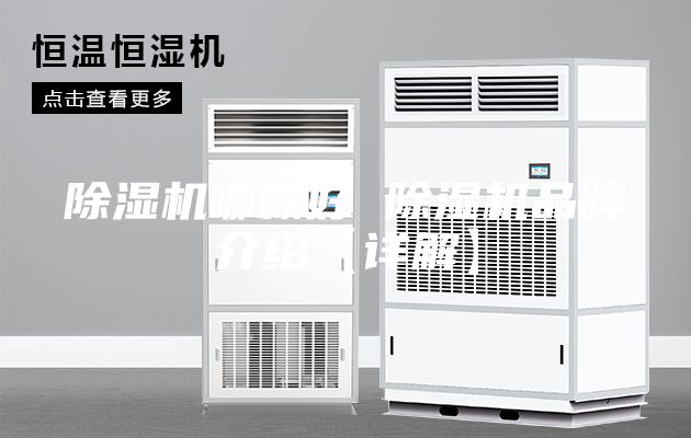 除湿机哪款好 除湿机品牌介绍【详解】