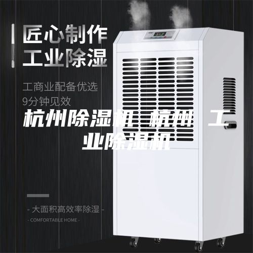 杭州除湿机 杭州 工业除湿机