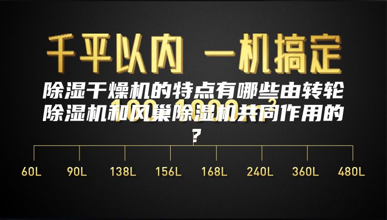 除湿干燥机的特点有哪些由转轮除湿机和风巢除湿机共同作用的？