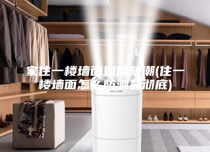 家住一楼墙面如何防潮(住一楼墙面怎么防潮最彻底)