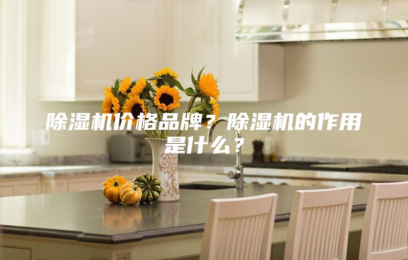 除湿机价格品牌？除湿机的作用是什么？