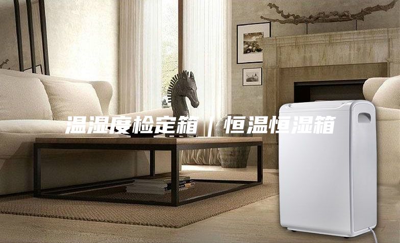 温湿度检定箱｜恒温恒湿箱
