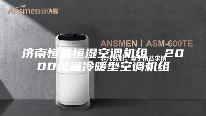 济南恒温恒湿空调机组  2000风量冷暖型空调机组