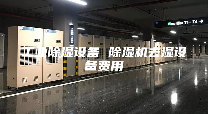 工业除湿设备 除湿机去湿设备费用