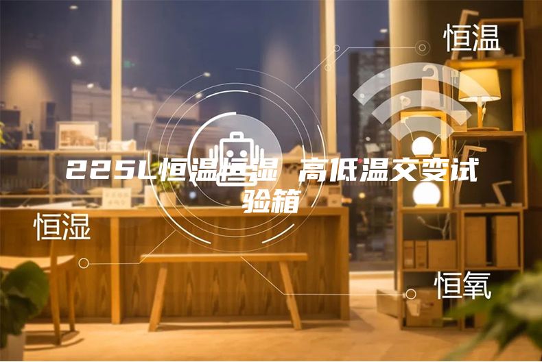 225L恒温恒湿 高低温交变试验箱