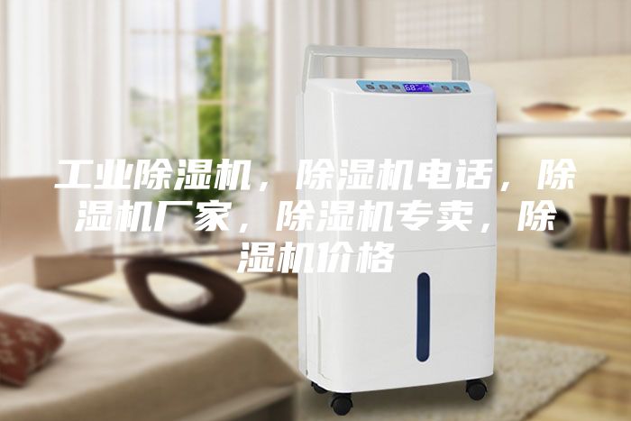 工业除湿机，除湿机电话，除湿机厂家，除湿机专卖，除湿机价格