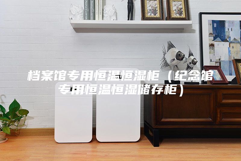 档案馆专用恒温恒湿柜（纪念馆专用恒温恒湿储存柜）