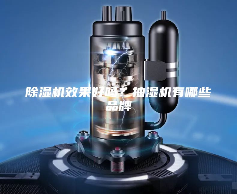 除湿机效果好吗？抽湿机有哪些品牌
