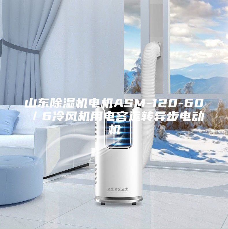 山东除湿机电机ASM-120-60／6冷风机用电容运转异步电动机
