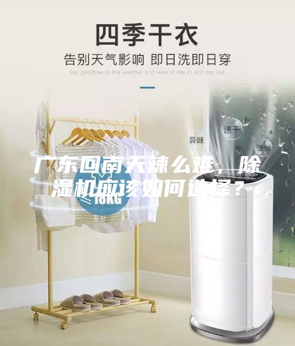 广东回南天辣么难，除湿机应该如何选择？