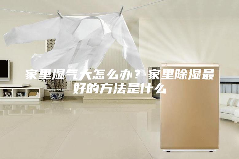 家里湿气大怎么办？家里除湿最好的方法是什么