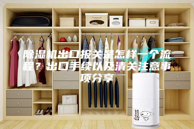 除湿机出口报关是怎样一个流程？出口手续以及清关注意事项分享