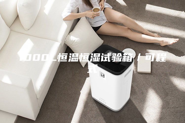 1000L恒温恒湿试验箱／可程式