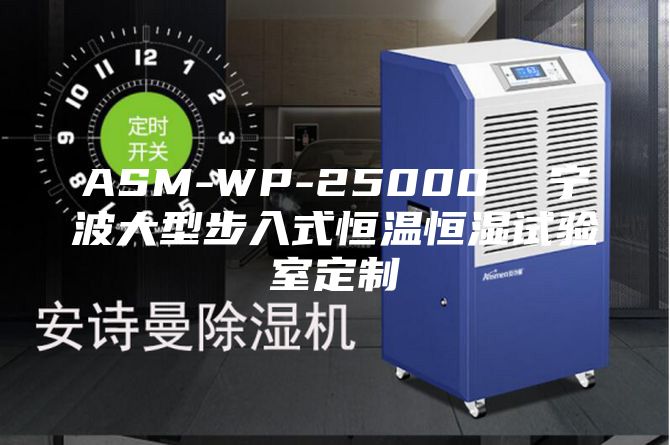 ASM-WP-25000  宁波大型步入式恒温恒湿试验室定制