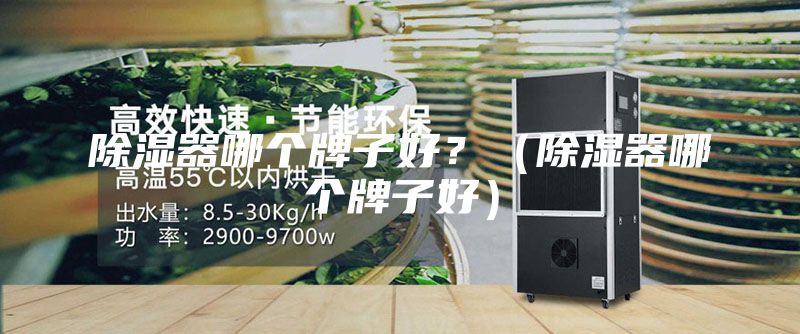 除湿器哪个牌子好？（除湿器哪个牌子好）