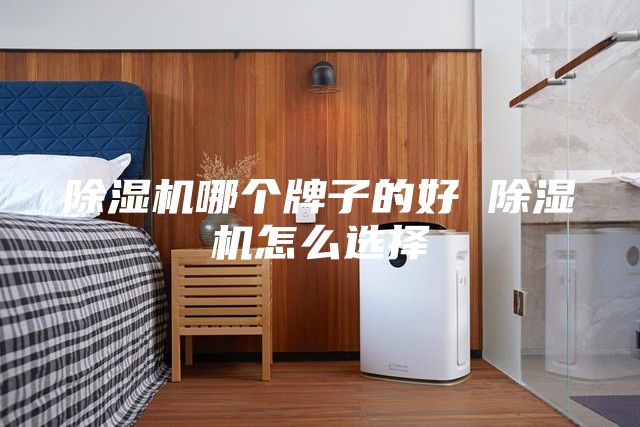 除湿机哪个牌子的好 除湿机怎么选择