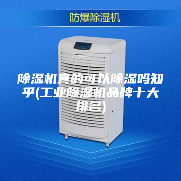 除湿机真的可以除湿吗知乎(工业除湿机品牌十大排名)