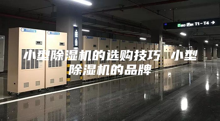 小型除湿机的选购技巧 小型除湿机的品牌