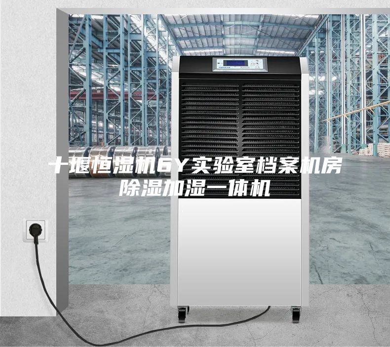 十堰恒湿机6Y实验室档案机房除湿加湿一体机