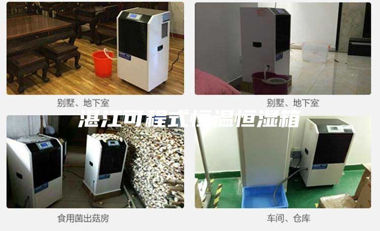 湛江可程式恒温恒湿箱