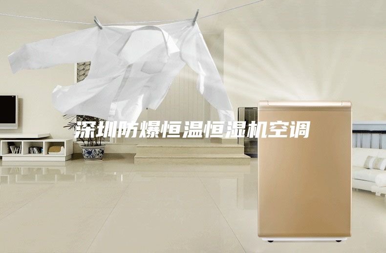 深圳防爆恒温恒湿机空调