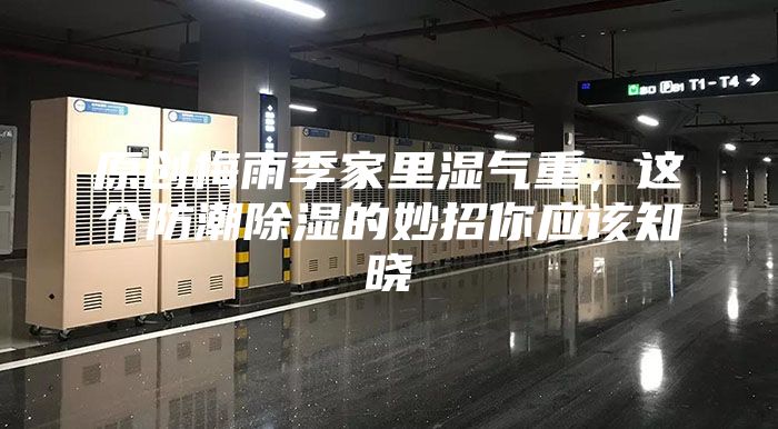 原创梅雨季家里湿气重，这个防潮除湿的妙招你应该知晓