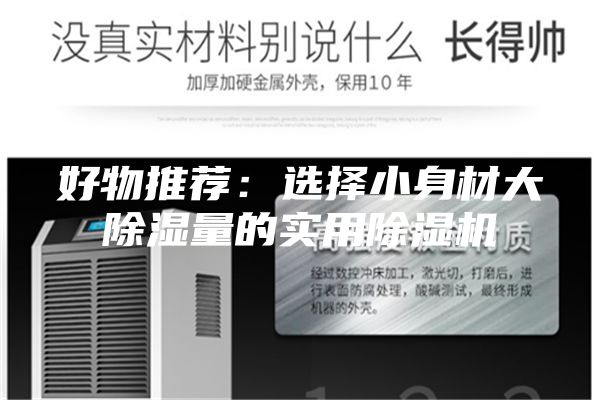 好物推荐：选择小身材大除湿量的实用除湿机