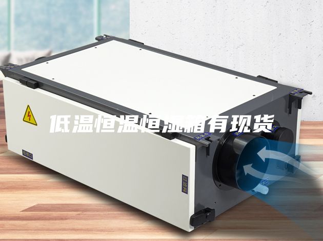 低温恒温恒湿箱有现货