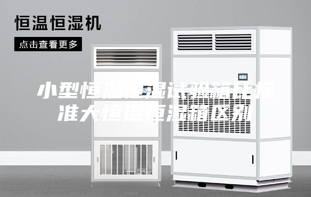 小型恒温恒湿试验箱比标准大恒温恒湿箱区别