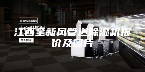 江西全新风管道除湿机报价及图片
