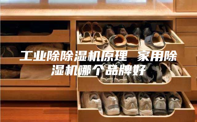工业除除湿机原理 家用除湿机哪个品牌好