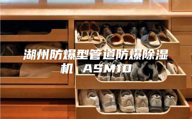 湖州防爆型管道防爆除湿机 ASM10