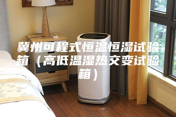 冀州可程式恒温恒湿试验箱（高低温湿热交变试验箱）