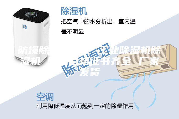 防爆除湿机批发 工业除湿机除湿机 防爆合格证书齐全 厂家发货