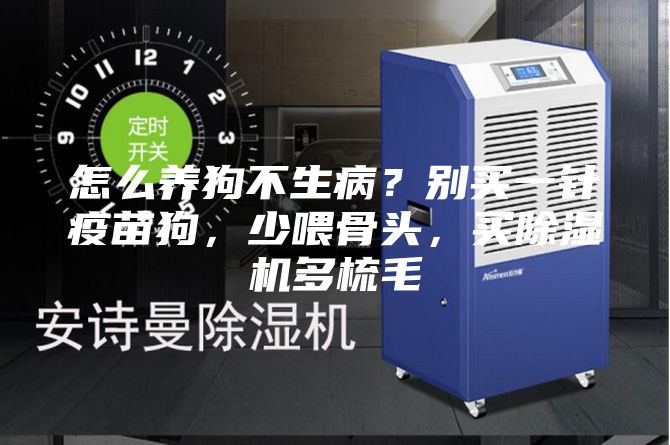 怎么养狗不生病？别买一针疫苗狗，少喂骨头，买除湿机多梳毛