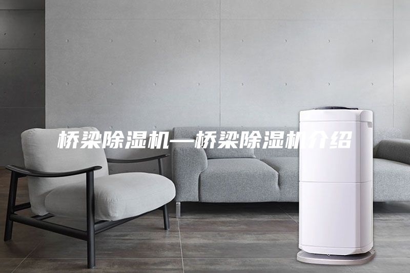 桥梁除湿机—桥梁除湿机介绍