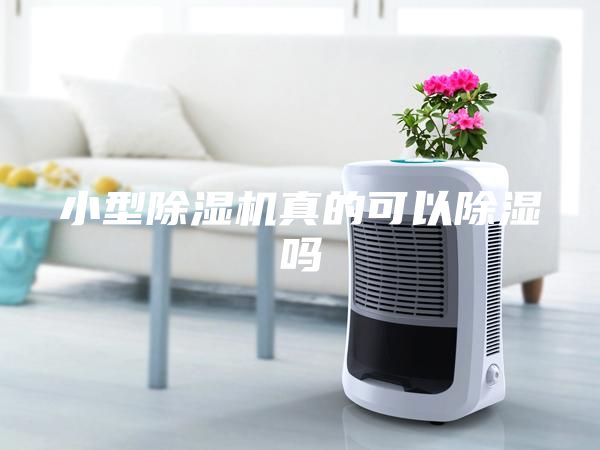 小型除湿机真的可以除湿吗
