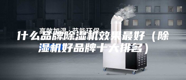 什么品牌除湿机效果最好（除湿机好品牌十大排名）