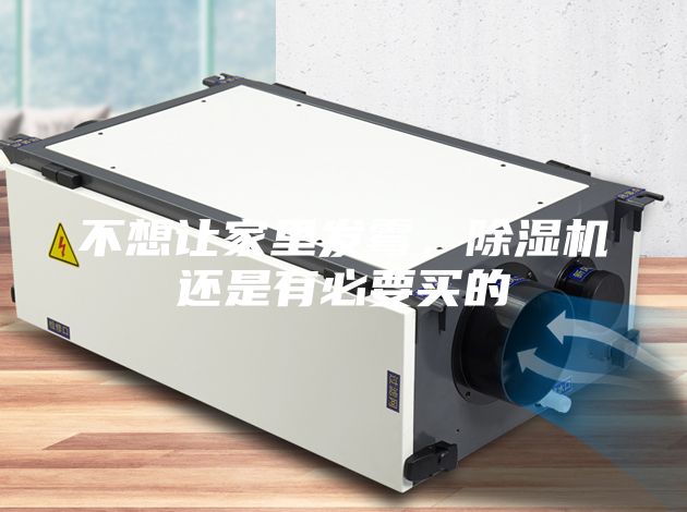不想让家里发霉，除湿机还是有必要买的