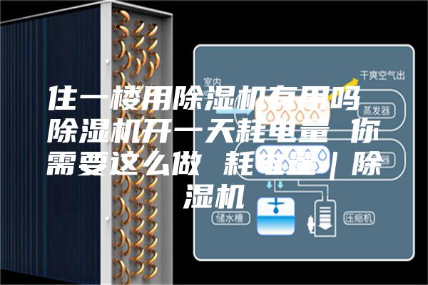 住一楼用除湿机有用吗 除湿机开一天耗电量 你需要这么做 耗电量｜除湿机
