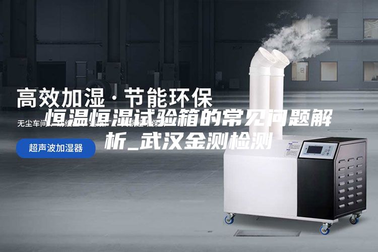 恒温恒湿试验箱的常见问题解析_武汉金测检测