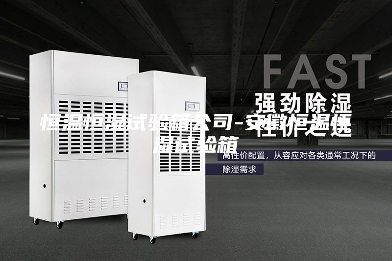恒温恒湿试验箱公司-安徽恒温恒湿试验箱