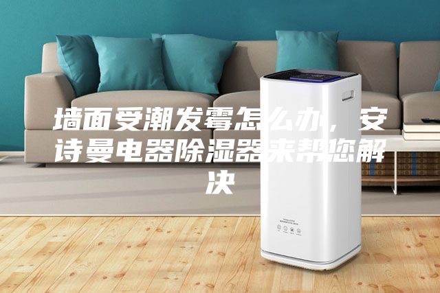 墙面受潮发霉怎么办，安诗曼电器除湿器来帮您解决