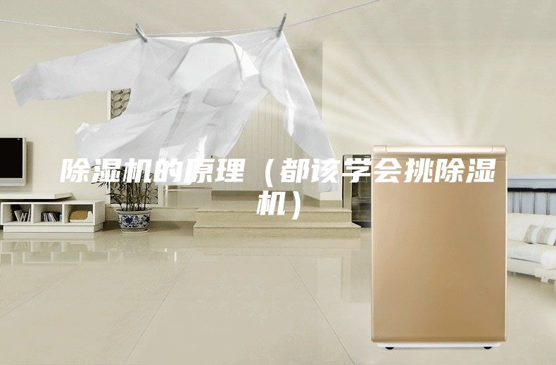 除湿机的原理（都该学会挑除湿机）