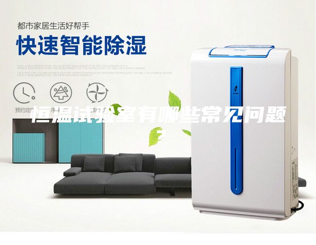 恒温试验室有哪些常见问题？